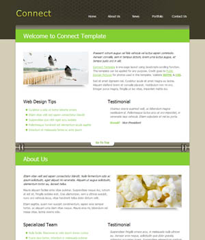 不掉线稳定的网络攻击软件